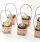 40PCS Mini Kraft Succulent Wrap Bags with Handle (Fits 2" Pots) – Decorative Plant Favor Boxes for Mother’s Day Card Making, Wedding, Baby Shower & Party Guest Gifts